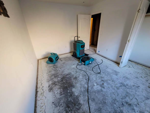 Best Water damage restoration insurance claims  in Brooks, KY