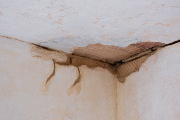 Best Water damage cleanup near me  in Brooks, KY