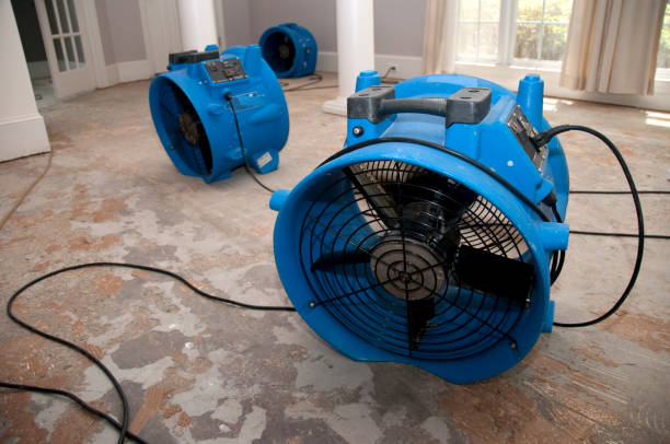 Local water damage restoration in KY